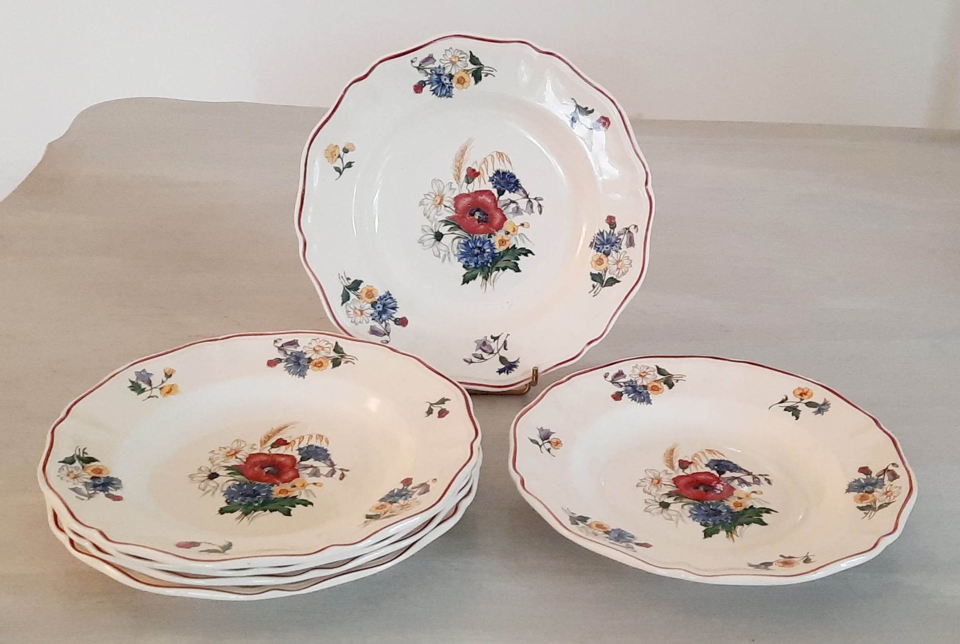 Hollow plates in earthenware Sarreguemines Model "Agreste" Vintage