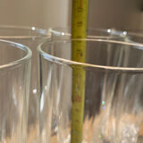 10 glasses appetizers soda