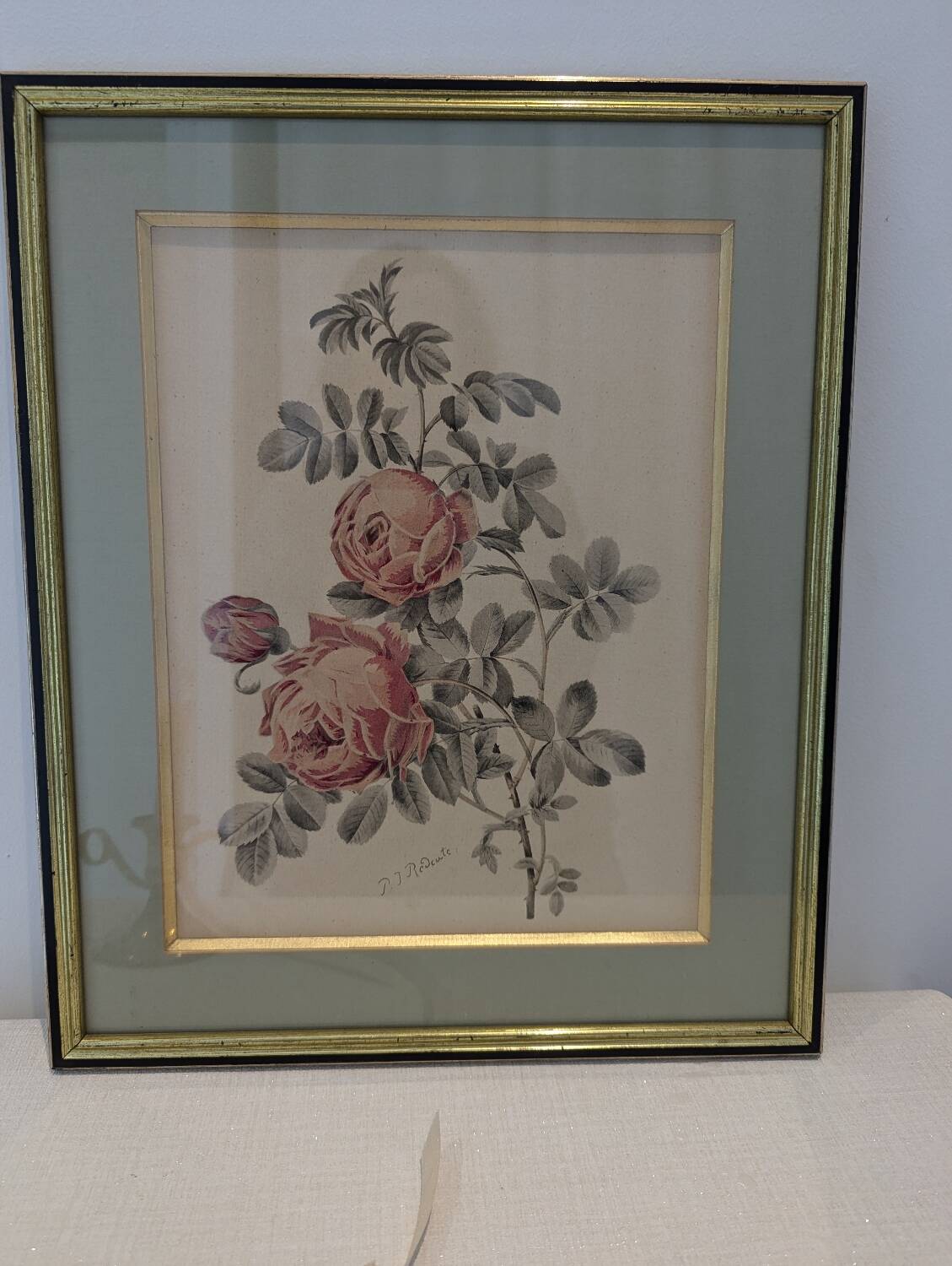 Botanical plate PJ Redouté