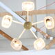 Suspension Kamenicky Senov, années 1970