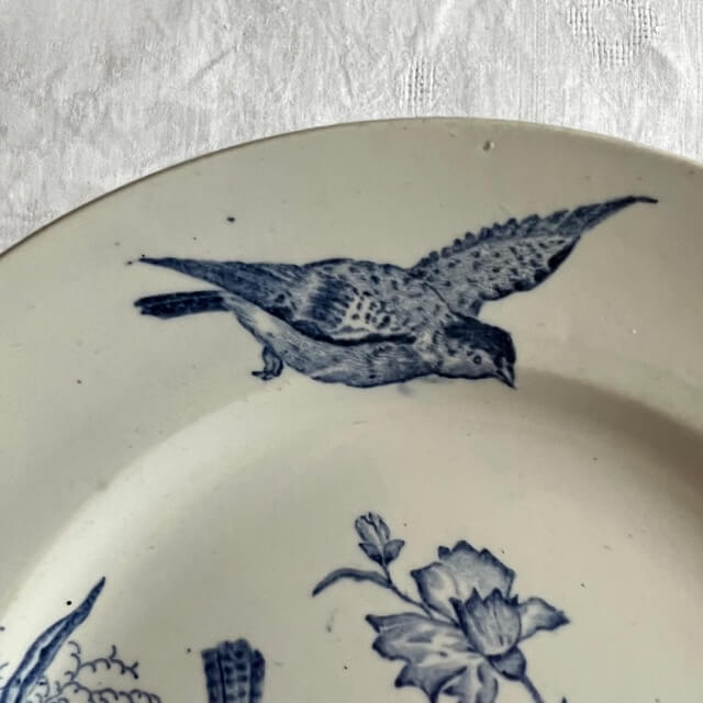 Set of 4 plates in iron earth, Aucella de Saint Amand