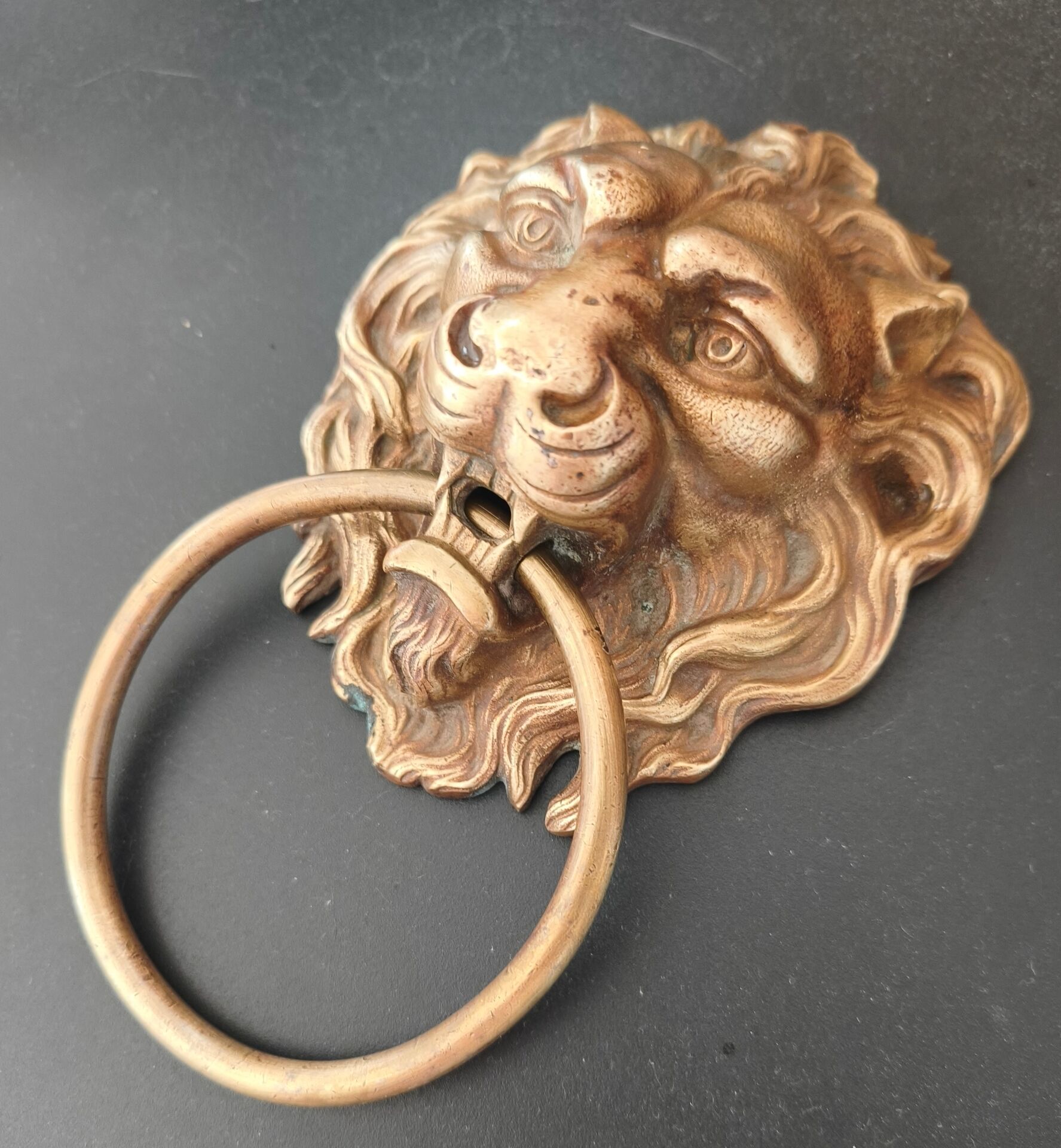 Lion door knocker / bronze door hammer