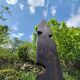 Sculptures contemporaine