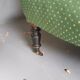Fauteuil vert