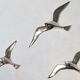 Lot de 3 oiseaux de goéland chromé, 15 - 20 -25 cm