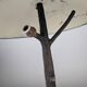 Hammered Copper Sculptural Lamp in the Shape of a Tree, Mid-Century Modern