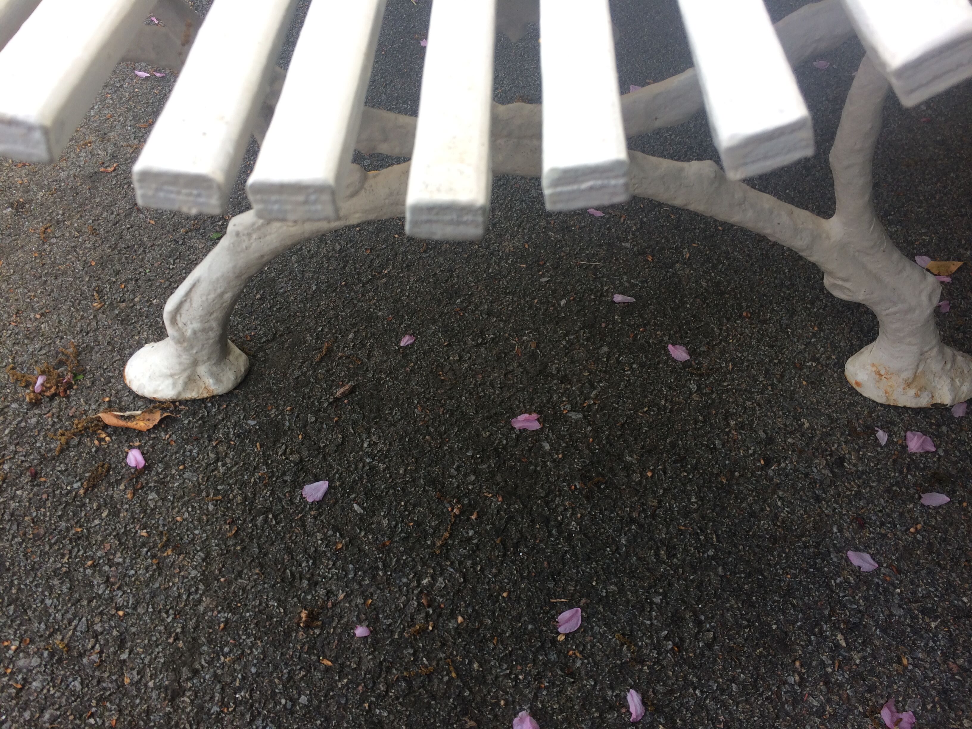 Old garden bench, cast iron feet and white wooden slats