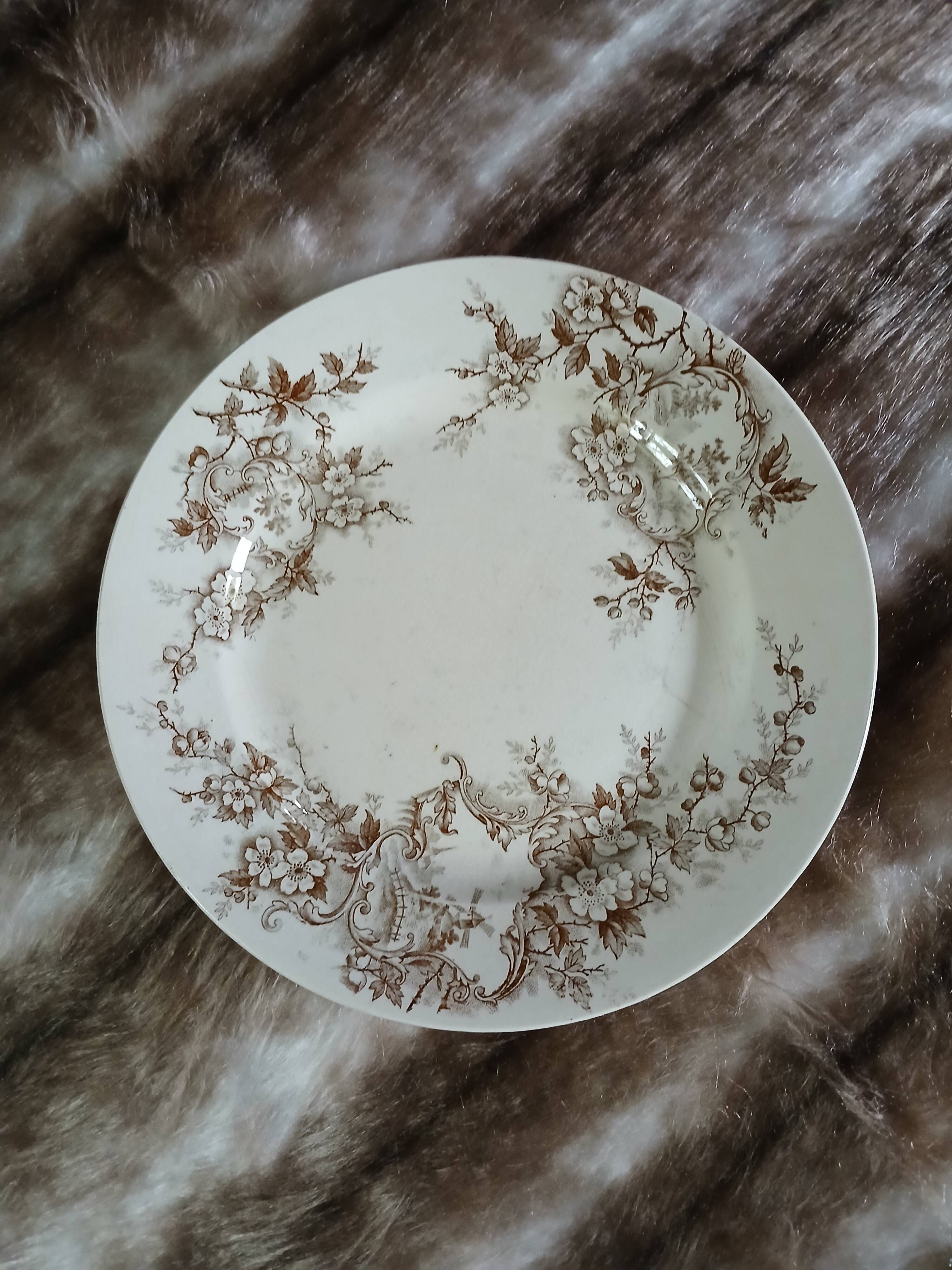 10 assiettes plates anciennes en Terre de fer
