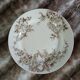 10 assiettes plates anciennes en Terre de fer
