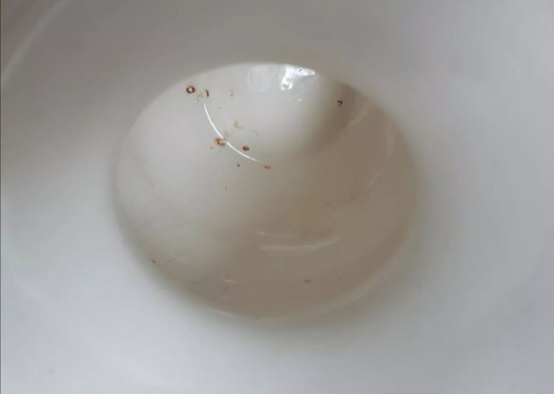 Vase ball Gien Peonies