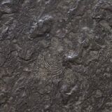 Peter Draenert studios coffee table in fossil stone and oak, Germany 1970s