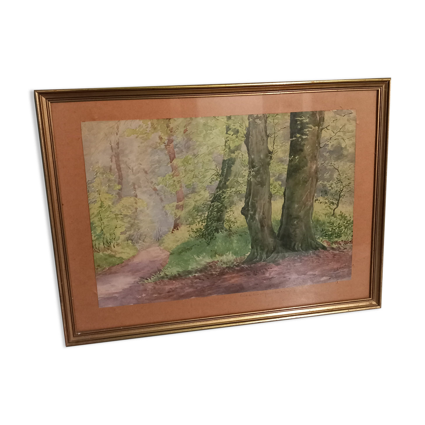 Old table-forest landscape