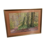 Old table-forest landscape