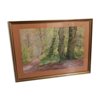 Old table-forest landscape