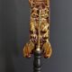 Cabinet of Curiosities haptosquilla trispinosa squille on pedestal