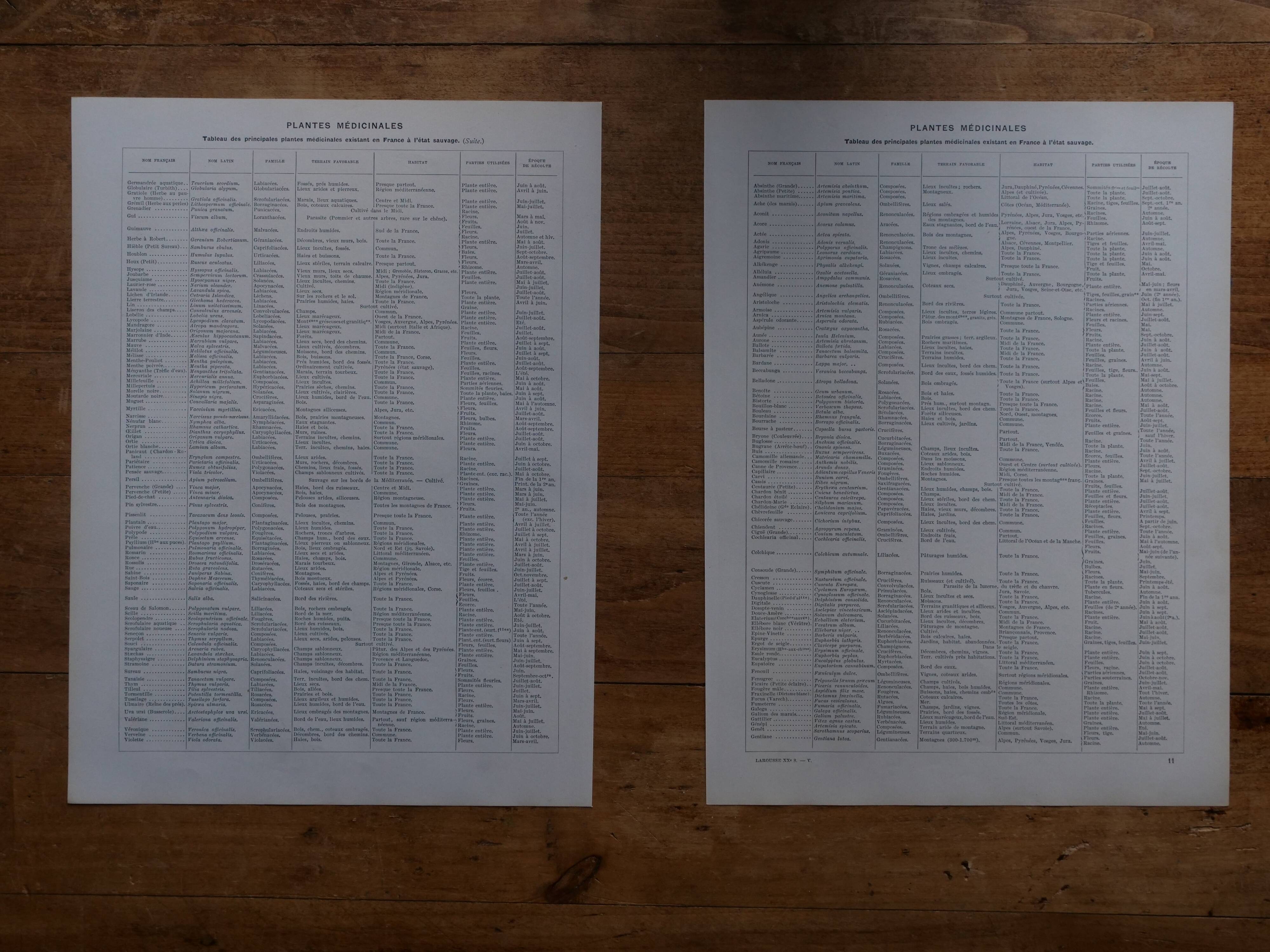 Original lithographs on medicinal plants