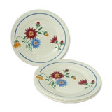 Lot 4 plates old dessert Lunéville Art Nouveau