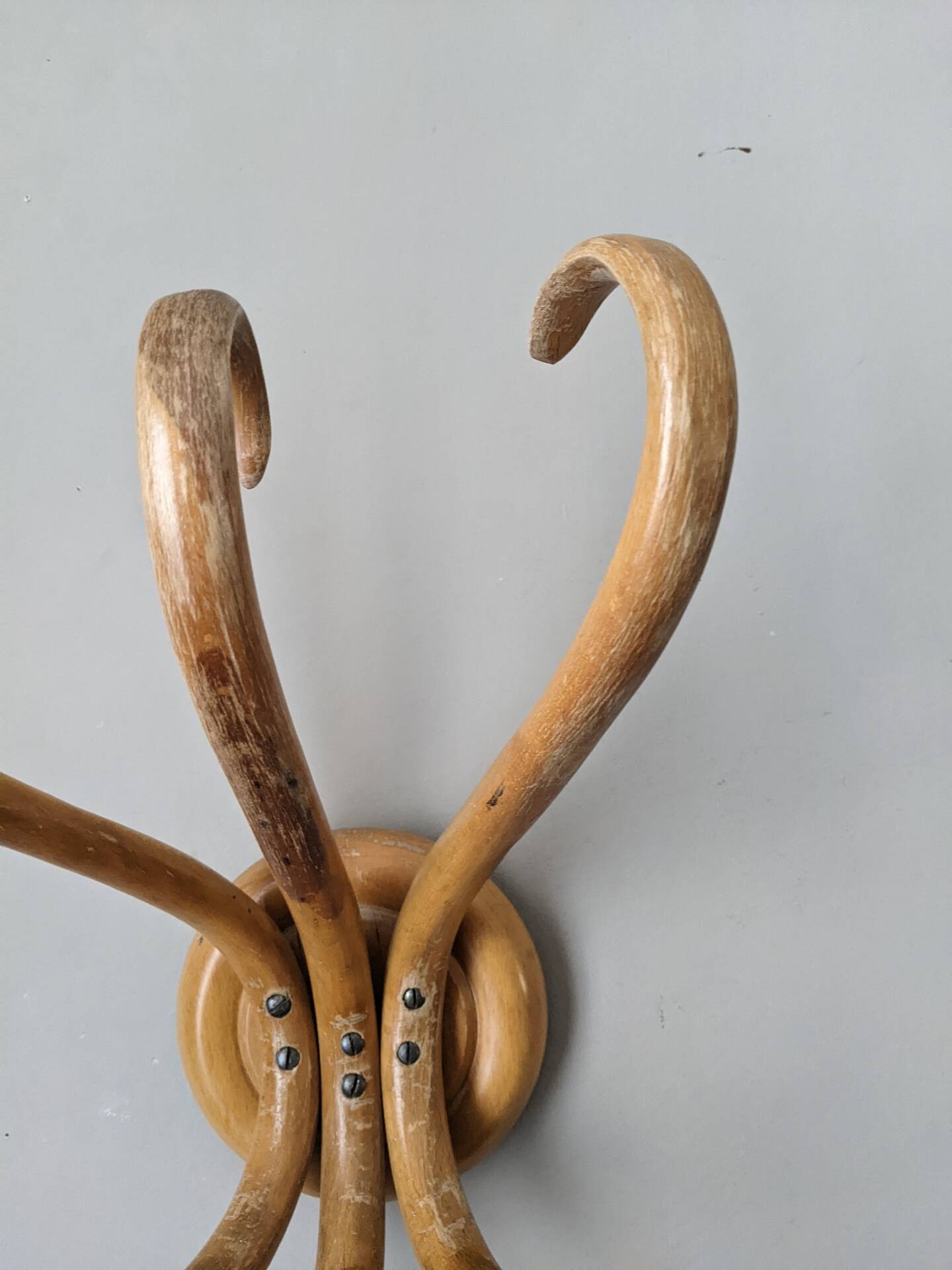 Porte manteau thonet vintage en bois courbé