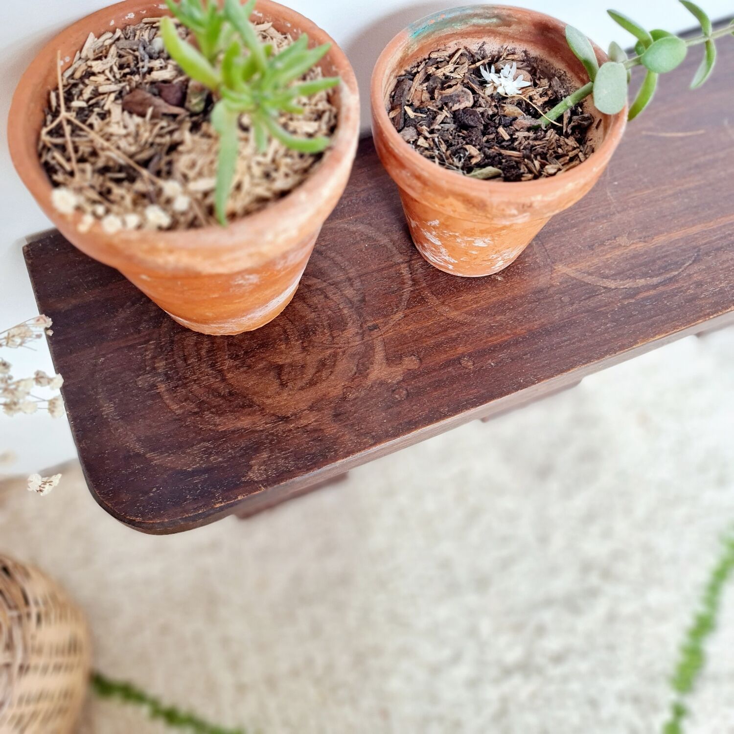 Antique coat rack in mirror wood