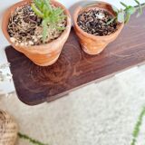 Antique coat rack in mirror wood