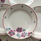 Set of 12 earthenware plates Salins, Nelly red