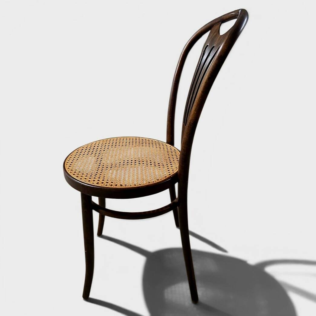 Bistro chair in curved wood and caning — ZPM Radomsko