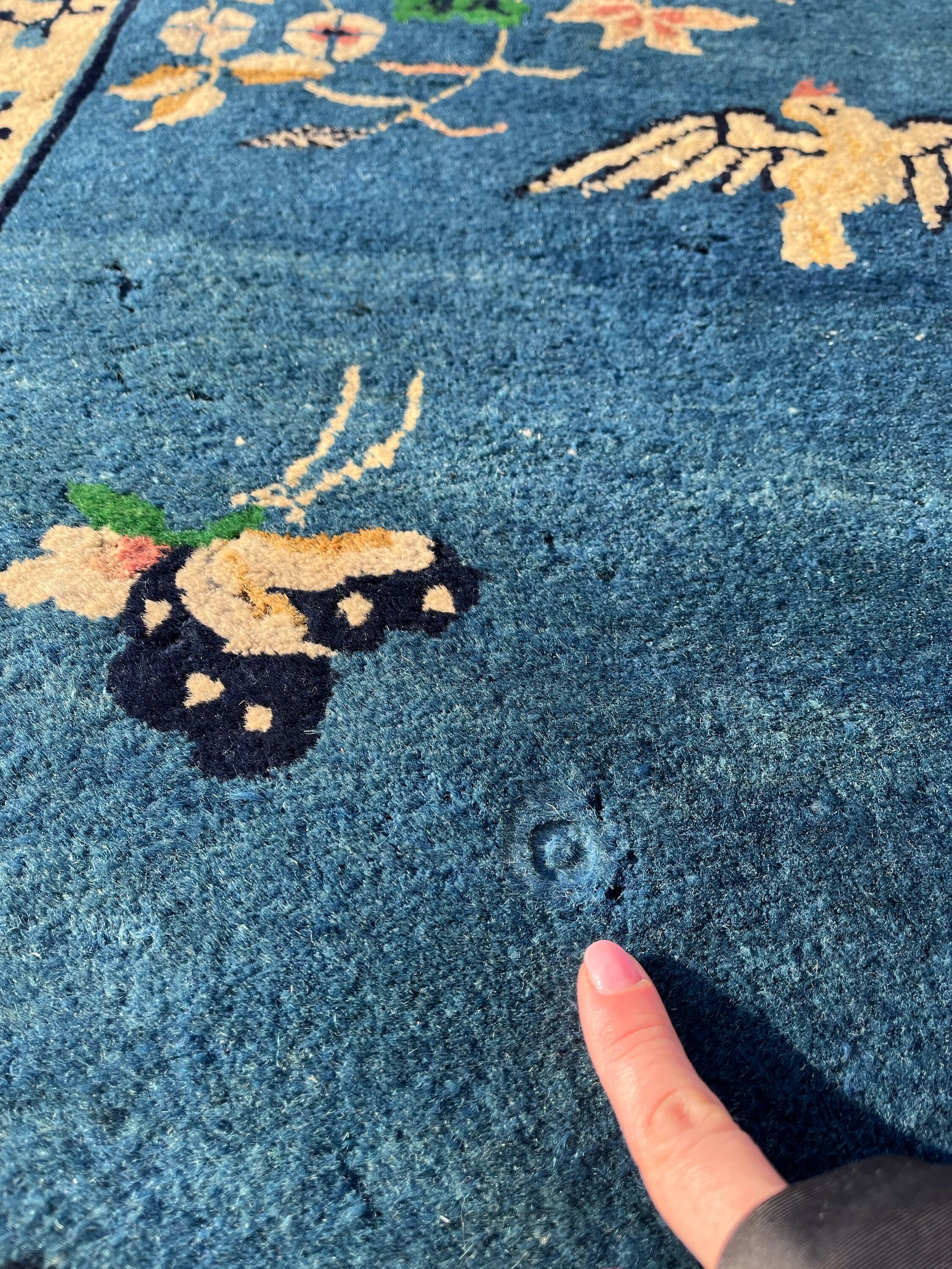 Beijing Chinese Carpet / China