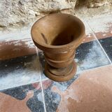 Medici vase in olive tree