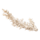 Natural white coral, 70s