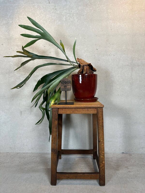 Table d'appoint ou de plante brutaliste – chêne