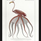 Chimera lithograph animal engraving - the pink flamoulpe