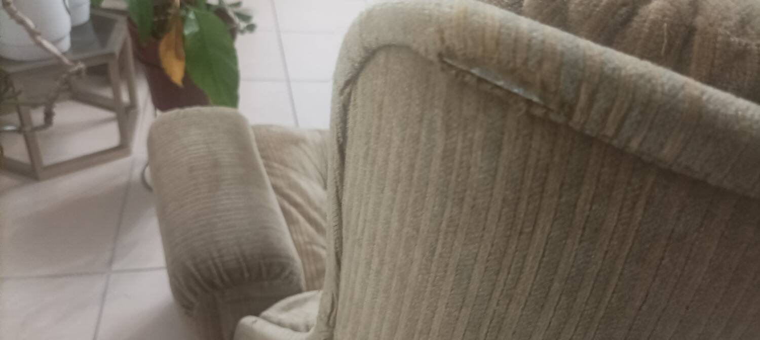 Fauteuil orchidée Michel Cadestin