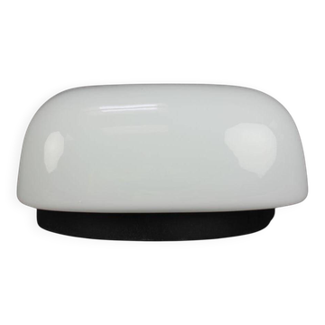Mid-Century Wall Light, Czechoslovakia, 1960s
