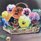 Set of vintage original flower oil paintings, flower still life pair