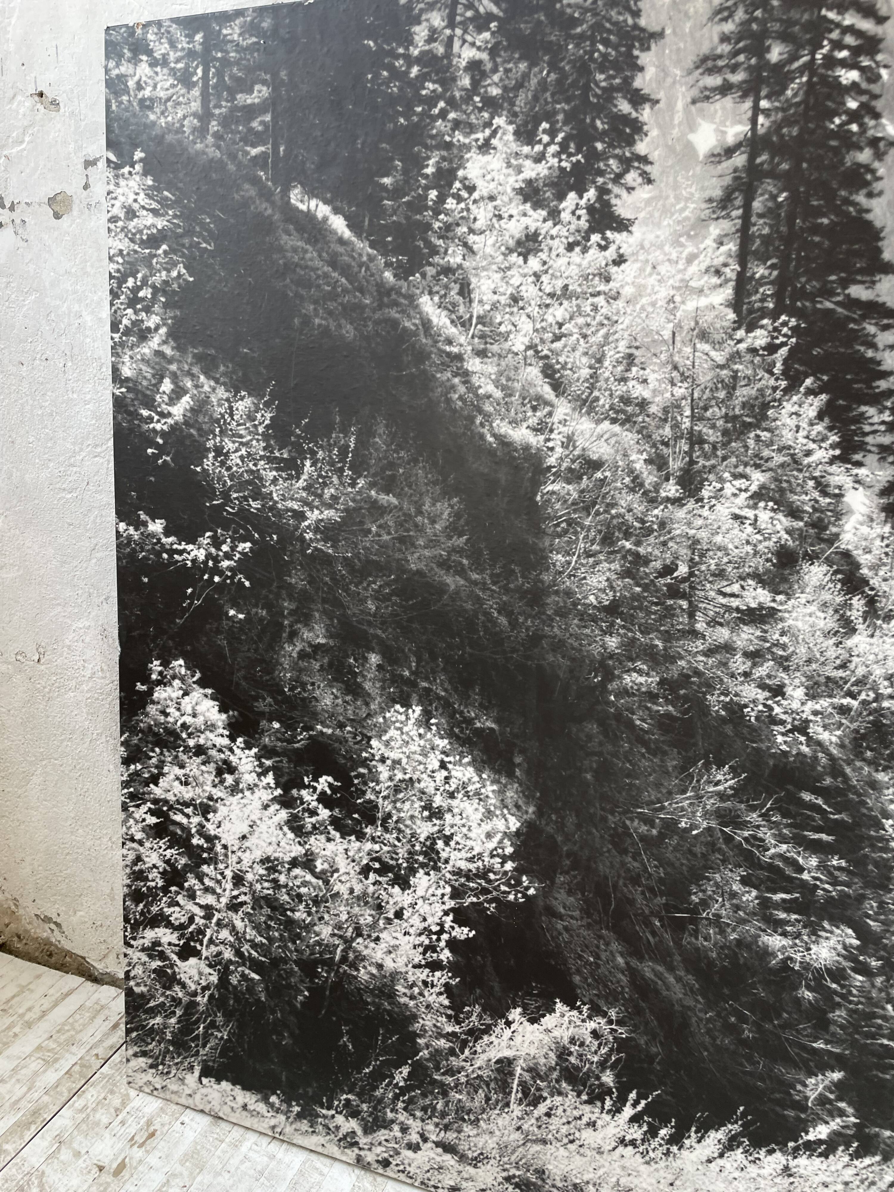 Old XXL black and white mountain photography