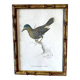 English plate 1808 by H. Griffiths, glazed wooden frame 1900