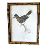 English plate 1808 by H. Griffiths, glazed wooden frame 1900