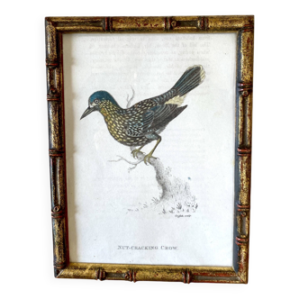 English plate 1808 by H. Griffiths, glazed wooden frame 1900