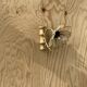 Vintage sconce