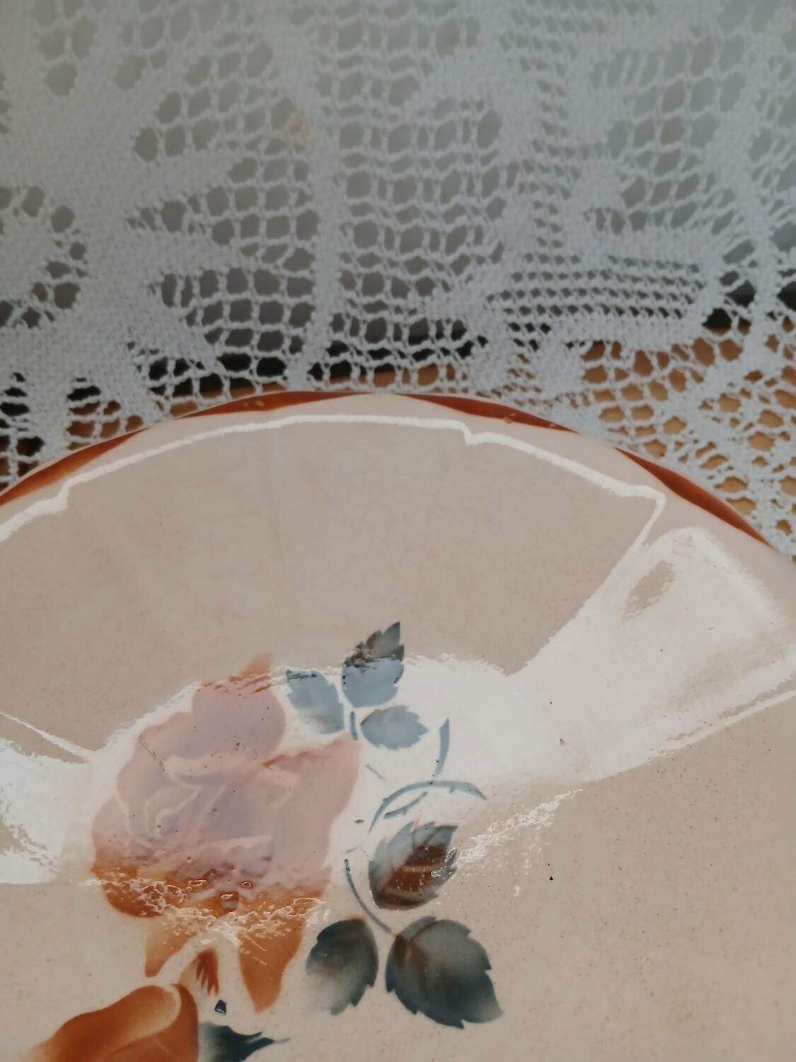 25 old Digoin and Sarreguemines plates