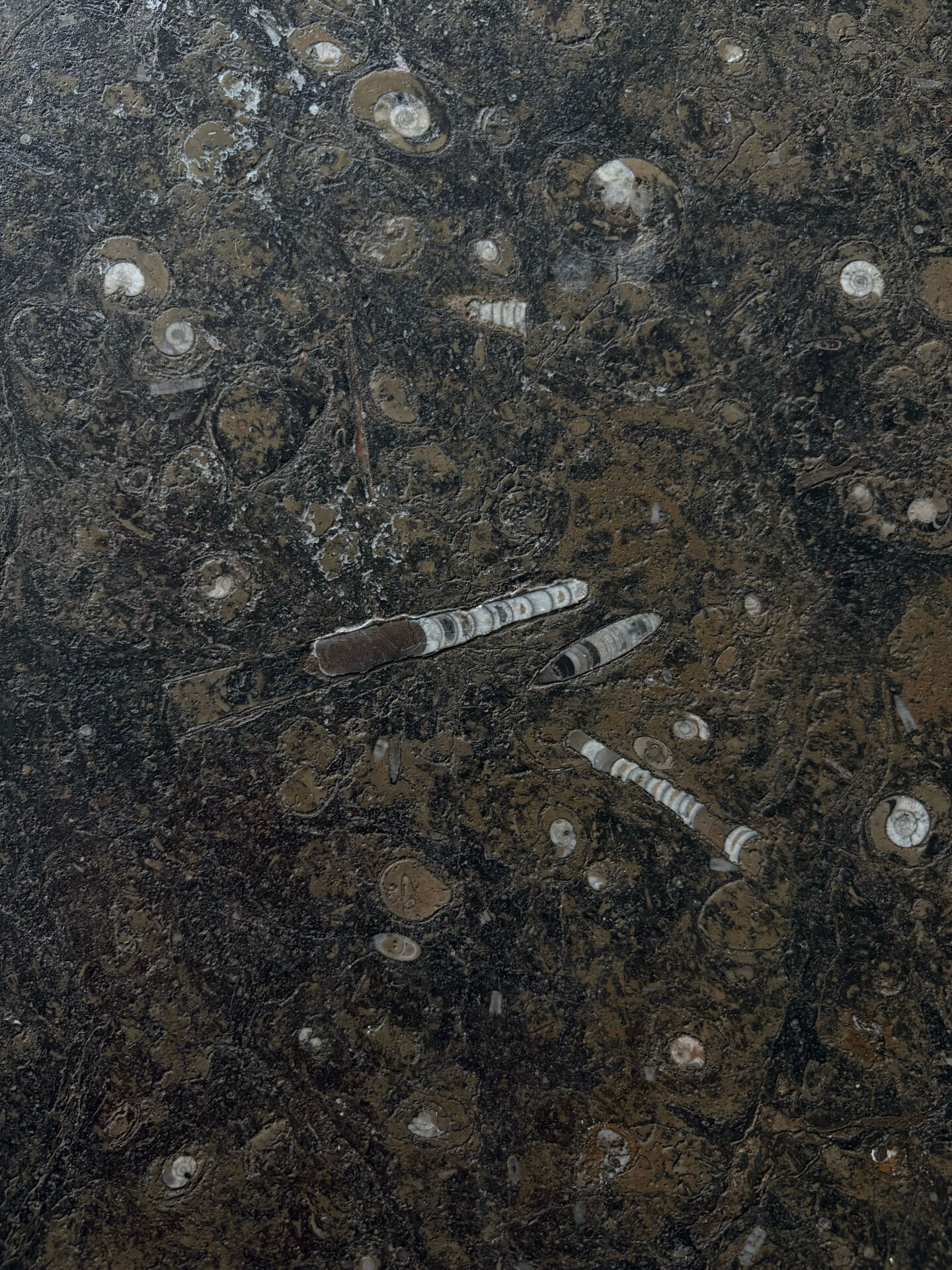 Rare Stone Coffee Table by Heinz Lilienthal, 1970’s