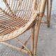 Pair of Shell-shaped Rotin chairs
