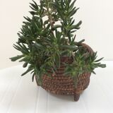 Former basket straw - charente trash walk