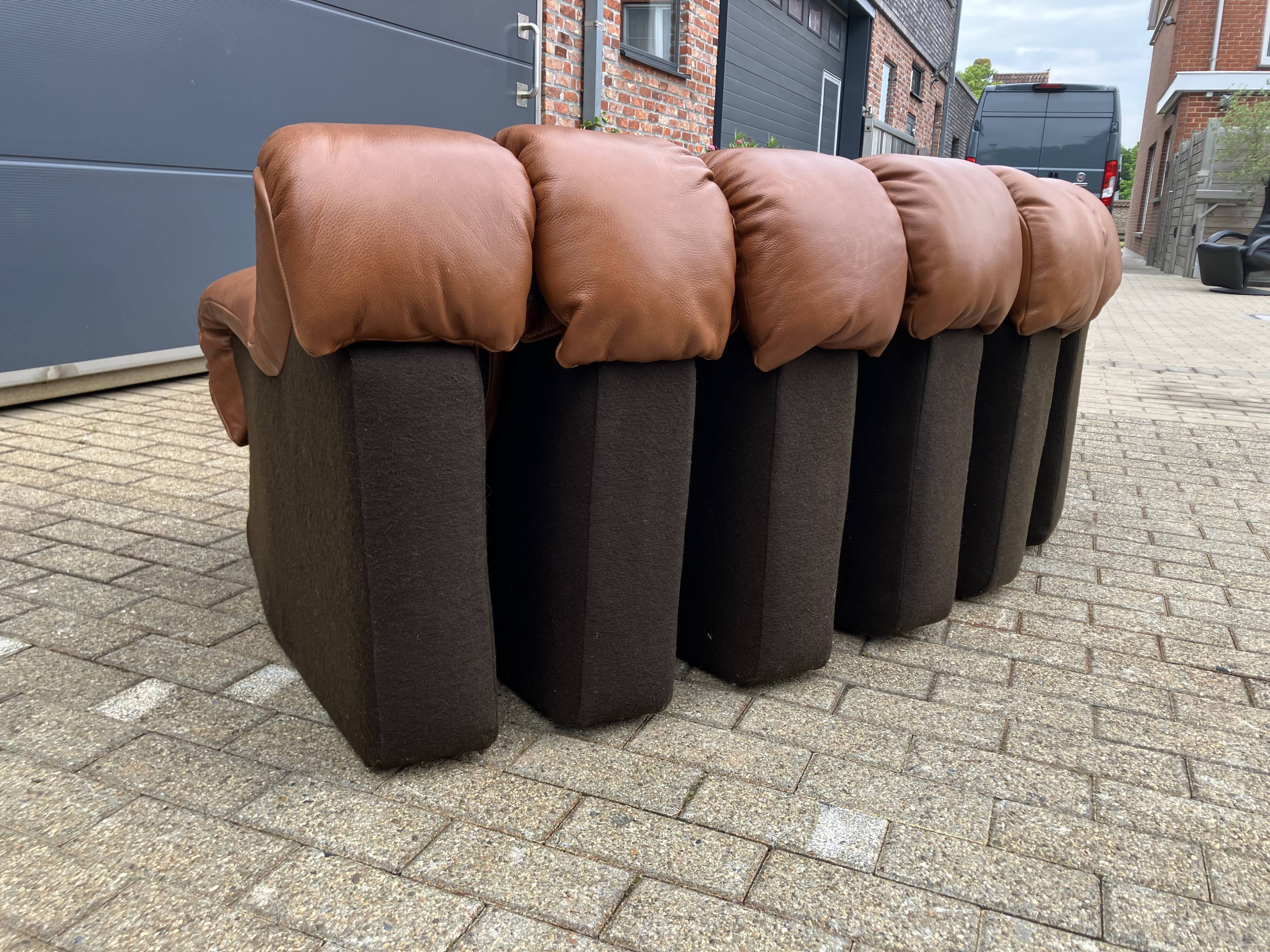 De Sede Ds600 Snake Tatzelwurm, 12 elements. New!