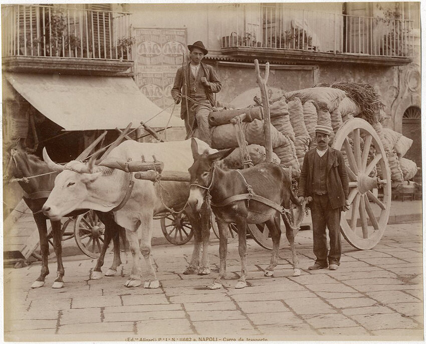 Print Alinari albumen Naples Italy Italy Italy circa 1880