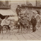 Print Alinari albumen Naples Italy Italy Italy circa 1880