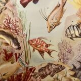 Illustrated board of fish that change color – 1950