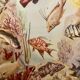 Illustrated board of fish that change color – 1950