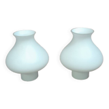 Globe / lampshade for chandelier