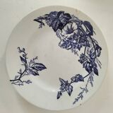 8 ironstone plates from the 19th century in blue camaïeu, mixed manufacturers.